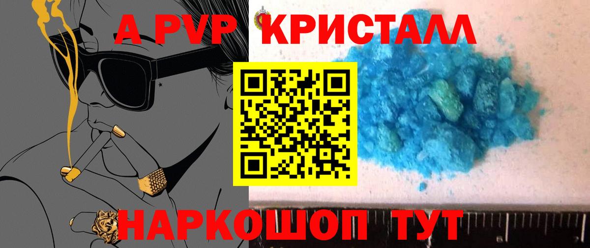 A PVP СК КРИС Луга
