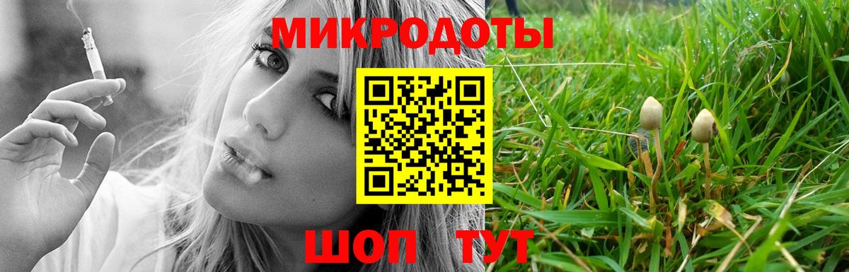 купить  сайты  Псилоцибиновые грибы MAGIC MUSHROOMS  Луга  Вход с VPN  Галлюциногенные грибы ЛСД 