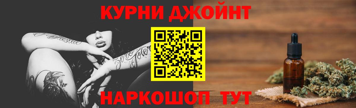 Конопля сатива Луга